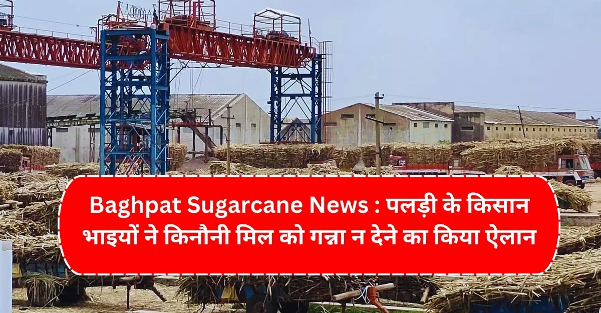 Baghpat Sugarcane News