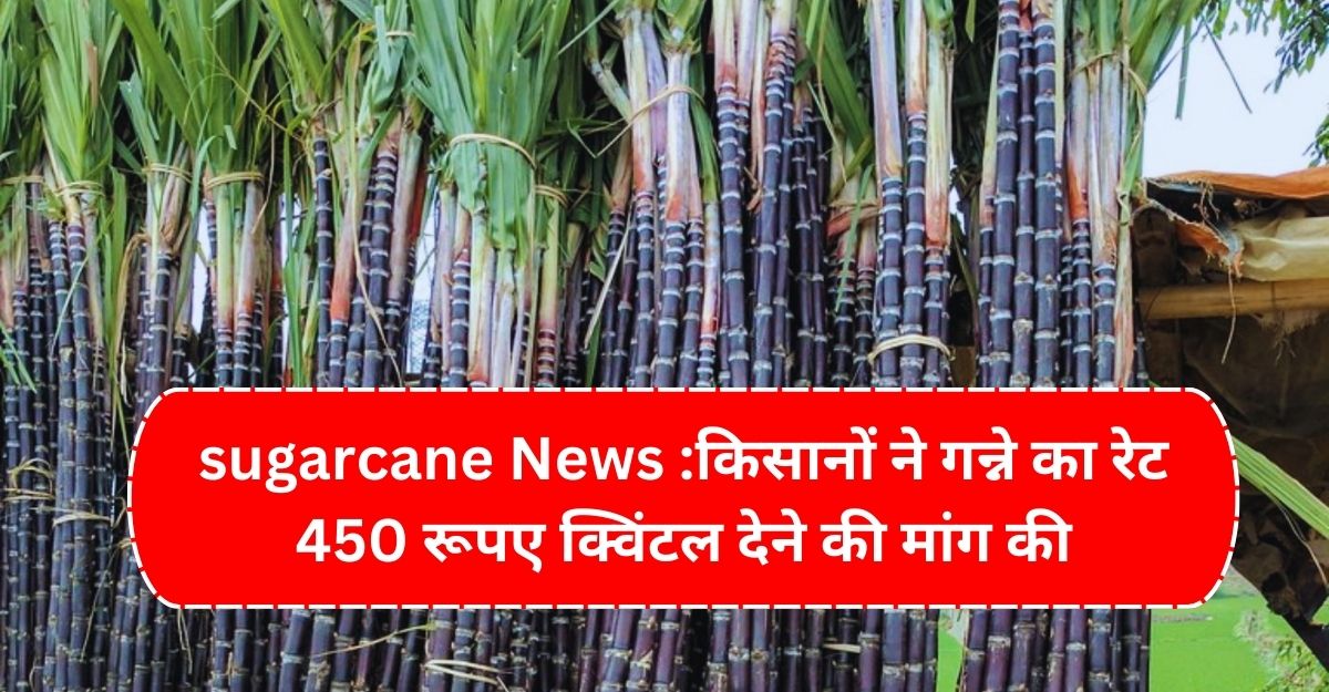 sugarcane News किसानों ने गन्ने का रेट 450 रूपए क्विंटल देने की मांग की